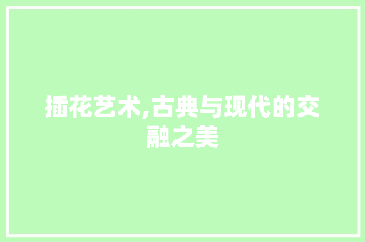 插花艺术,古典与现代的交融之美