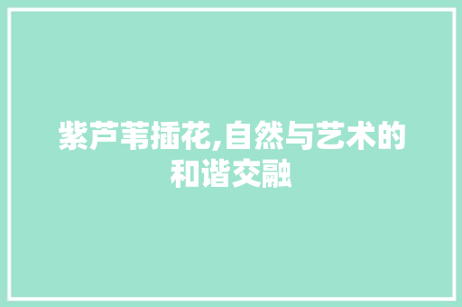 紫芦苇插花,自然与艺术的和谐交融