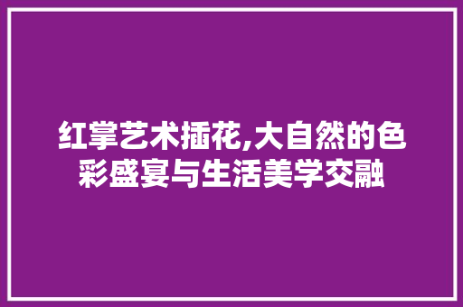 红掌艺术插花,大自然的色彩盛宴与生活美学交融