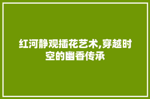 红河静观插花艺术,穿越时空的幽香传承 植物种类