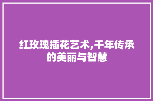 红玫瑰插花艺术,千年传承的美丽与智慧 番茄种植技巧