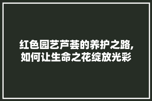 红色园艺芦荟的养护之路,如何让生命之花绽放光彩