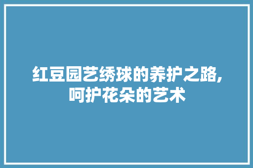 红豆园艺绣球的养护之路,呵护花朵的艺术