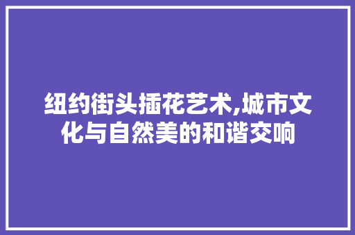 纽约街头插花艺术,城市文化与自然美的和谐交响 花朵知识