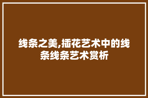 线条之美,插花艺术中的线条线条艺术赏析