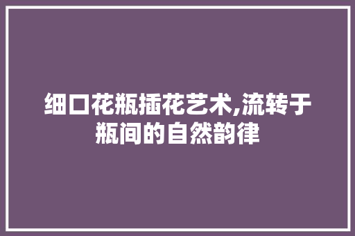 细口花瓶插花艺术,流转于瓶间的自然韵律 花朵知识 细口花瓶插花艺术,流转于瓶间的自然韵律 花朵知识