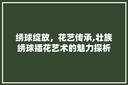 绣球绽放，花艺传承,壮族绣球插花艺术的魅力探析