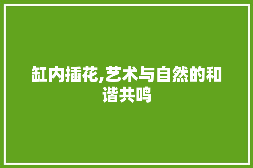 缸内插花,艺术与自然的和谐共鸣 植物种类