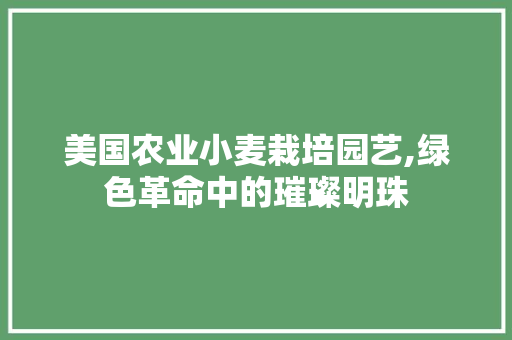美国农业小麦栽培园艺,绿色革命中的璀璨明珠