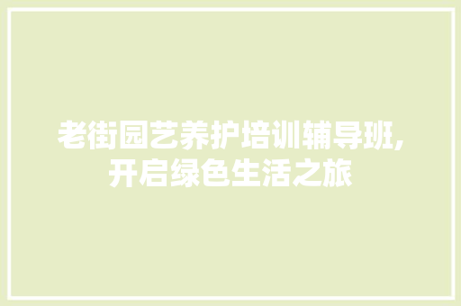 老街园艺养护培训辅导班,开启绿色生活之旅