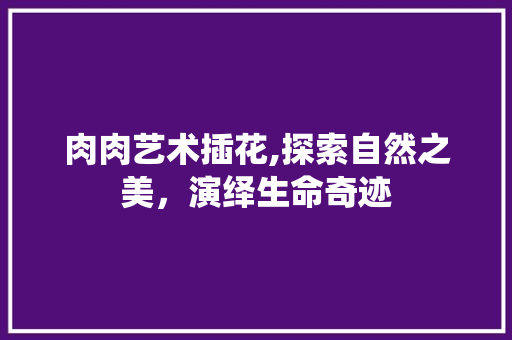 肉肉艺术插花,探索自然之美，演绎生命奇迹 土壤施肥