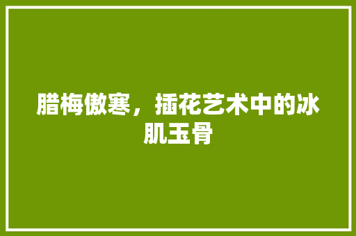 腊梅傲寒，插花艺术中的冰肌玉骨