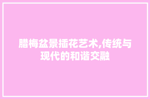 腊梅盆景插花艺术,传统与现代的和谐交融