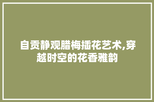 自贡静观腊梅插花艺术,穿越时空的花香雅韵