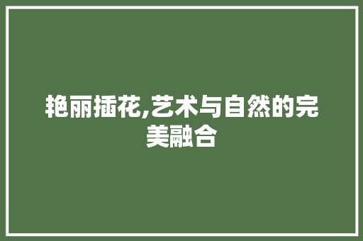 艳丽插花,艺术与自然的完美融合