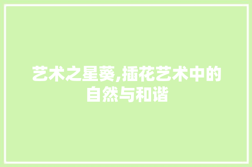 艺术之星葵,插花艺术中的自然与和谐