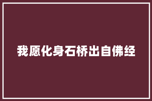 艺术插花,穿越时空的花语之美 农业常识