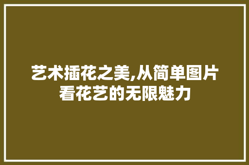 艺术插花之美,从简单图片看花艺的无限魅力 土壤施肥