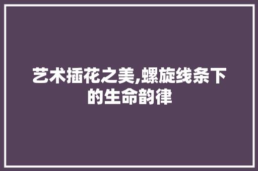 艺术插花之美,螺旋线条下的生命韵律