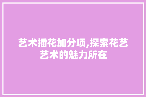 艺术插花加分项,探索花艺艺术的魅力所在 植物种类