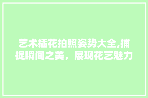 艺术插花拍照姿势大全,捕捉瞬间之美，展现花艺魅力