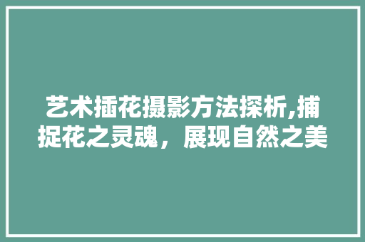 艺术插花摄影方法探析,捕捉花之灵魂，展现自然之美