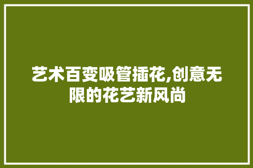 艺术百变吸管插花,创意无限的花艺新风尚