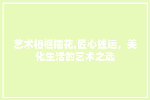艺术相框插花,匠心独运，美化生活的艺术之选 花朵知识