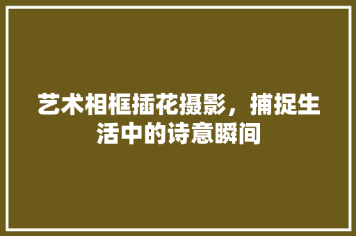 艺术相框插花摄影，捕捉生活中的诗意瞬间