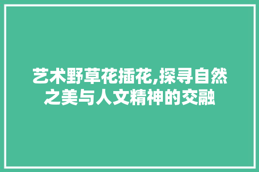 艺术野草花插花,探寻自然之美与人文精神的交融