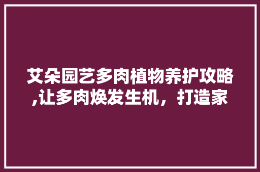 艾朵园艺多肉植物养护攻略,让多肉焕发生机，打造家居绿意盎然 农业常识