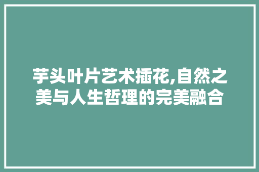 芋头叶片艺术插花,自然之美与人生哲理的完美融合 植物种类