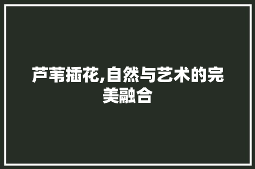 芦苇插花,自然与艺术的完美融合