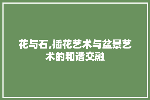 花与石,插花艺术与盆景艺术的和谐交融 番茄病虫害防治