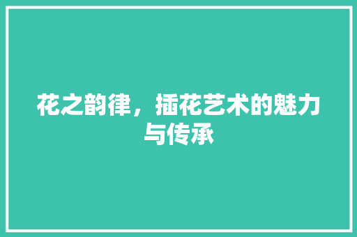 花之韵律，插花艺术的魅力与传承 土壤施肥