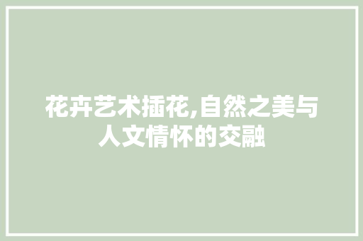 花卉艺术插花,自然之美与人文情怀的交融 花朵知识