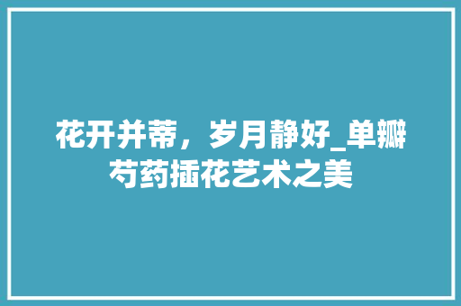 花开并蒂，岁月静好_单瓣芍药插花艺术之美