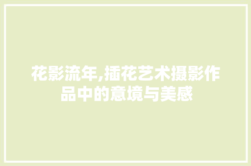 花影流年,插花艺术摄影作品中的意境与美感 番茄种植技巧