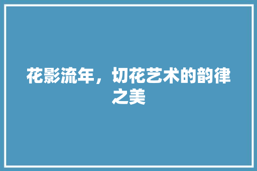 花影流年，切花艺术的韵律之美 种植技巧