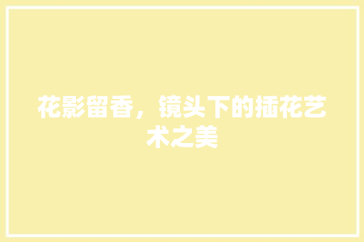 花影留香，镜头下的插花艺术之美