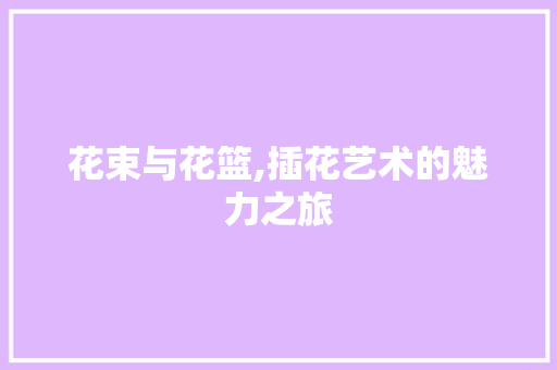 花束与花篮,插花艺术的魅力之旅