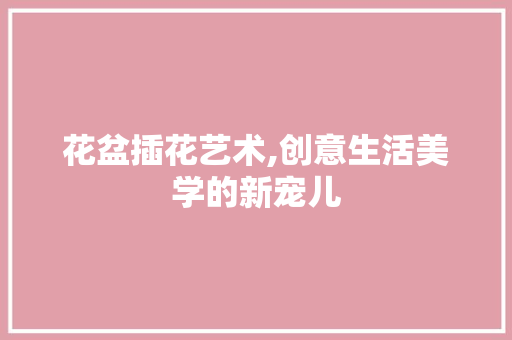 花盆插花艺术,创意生活美学的新宠儿 土壤施肥