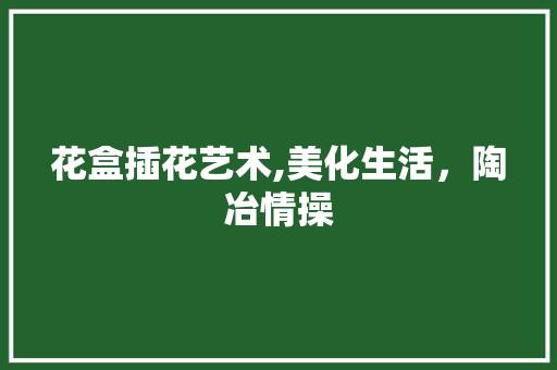 花盒插花艺术,美化生活，陶冶情操 花朵知识