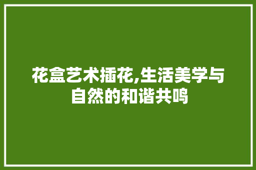 花盒艺术插花,生活美学与自然的和谐共鸣 番茄种植技巧