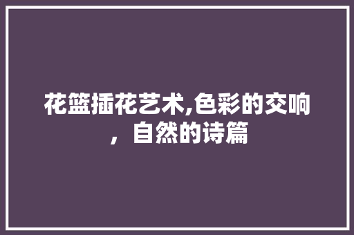 花篮插花艺术,色彩的交响，自然的诗篇