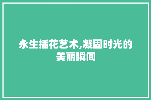 永生插花艺术,凝固时光的美丽瞬间