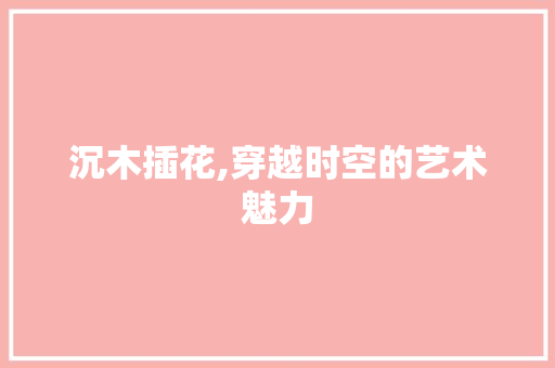 沉木插花,穿越时空的艺术魅力 种植技巧