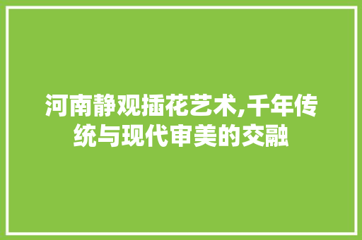 河南静观插花艺术,千年传统与现代审美的交融