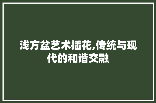 浅方盆艺术插花,传统与现代的和谐交融 植物种类