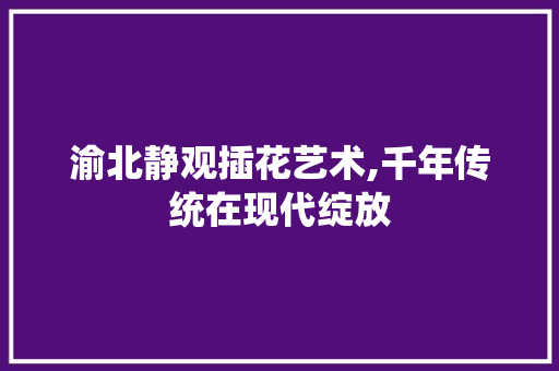 渝北静观插花艺术,千年传统在现代绽放 种植技巧